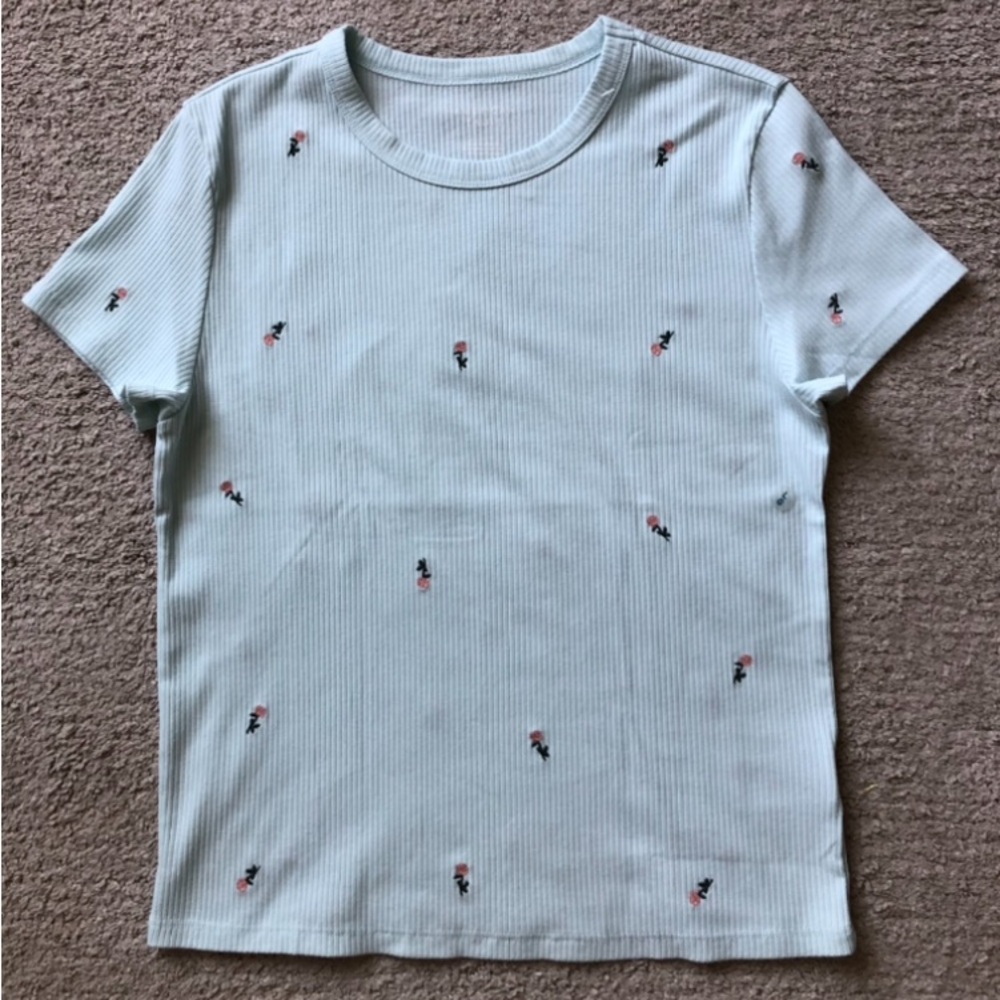 AE Outfitters Short Sleeve T-shirt.NWOT.